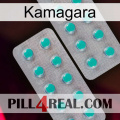 Kamagara 29